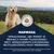 Eukanuba Special Care Overweight Adult Eukanuba Special Care Overweight Adult