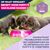 Eukanuba Premium Nutrition Puppy Klein Ras Kip