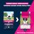 Eukanuba Premium Voeding Puppy Middelgroot Ras Kip