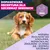 Eukanuba Premium Nutrition Puppy Medium Breed, kurczak