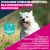 Eukanuba Premium Nutrition Adult Small Breed, kurczak