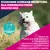 Eukanuba Premium Nutrition Adult Small Breed, kurczak
