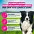 Eukanuba Premium Nutrition Adult Medium Breed Pollo