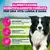Eukanuba Premium Nutrition Adult Medium Breed Pollo