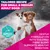 Eukanuba Premium Nutrition Adult Small & Medium Breed bárány & rizs