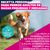 Eukanuba Premium Nutrition Adult Small & Medium Breed salmón