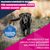 Eukanuba Premium Nutrition Mature Large & Giant Breed Huhn