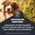Premium Nutrition Est. 1969. Australian Shepherd. Anpassat efter rasens aktiva natur för att hålla den smidig och energisk. Också lämpligt för border collie och australian cattle dog.