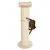 Cat tree with beige sisal surface, round wooden base and padded top resting area. Cat climbing on the cat tree.