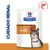 Hill's Prescription Diet k/d para gatos, cuidado renal. Imagen de envase con ilustración de gato y símbolo de pescado en la esquina superior derecha.