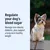 Blood sugar regulation for dogs: Managing diabetes without excess weight and supporting a healthy weight in the long term. Blood sugar regulation for dogs: Managing diabetes without excess weight and supporting a healthy weight in the long term.