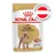 ROYAL CANIN Adult Poodle Caniche/Barboncino, Coat Health, hergestellt in Österreich, Abbildung eines Pudels und Nassfutterstücken auf der Verpackung.