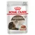 Royal Canin Ageing 12+ nourriture pour chats en sauce, pour chats seniors à partir de 12 ans, format 85g.