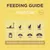 Feeding guide for adult cats: 4kg cat needs 50g, 5kg cat needs 60g, 5-8kg cat needs 60-70g+ food daily. Ensure fresh, clean water is always available.