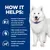 How it helps: supports kidney function, appetite, joint health, manages gut microbiome changes from impaired kidneys, and helps build and maintain muscle mass. White dog shown beside text.