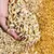 Hand holding a quantity of cereal grains, surrounded by more grains. Shows the quality and condition of the cereal.