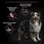 Product features: formulated without wheat, helps support healthy skin, and promotes a beautiful shiny coat. Includes illustrative icons and an image of a dog.