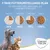 7-Tage Futterumstellungs-Plan: Wechsel zu Concept for Life. Tag 1-2: 25%, Tag 3-4: 50%, Tag 5-6: 75%, Tag 7+: 100%. Hund und Katze abgebildet. Concept for Life Logo unten rechts.