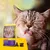 Sac de croquettes Josera Culinesse Adult pour chat, photo du produit avec croquettes visibles devant l’emballage. Chat gris en arrière-plan.