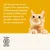 Tekst w języku angielskim: We are proud to be a part of a community of businesses helping to build a fairer and greener future for people, planet, and (in our case) pets! Certified B Corporation.