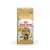 Saco de 12 kg de Royal Canin Adult Maine Coon para gatos, incluye oferta 10 kg + 2 kg gratis. Imagen de un gato Maine Coon en el envase. Texto visible: 155 raciones.
