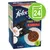 Boîte Purina Felix Tender Strips, 6 x 48 g, bœuf, poulet, agneau. Texte visible : 'Sans colorants'. Icône verte avec le chiffre 24 en haut à droite.