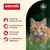 Sparpaket animonda Carny Single Protein Adult 24 x 200 g