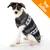 Cane che indossa un maglione nero e bianco con motivi invernali. Angolo arancione con testo: Top Seller.
