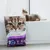 Litière pour chat Classic Lavender avec Triple Action, contrôle des odeurs, peu de poussière et agglomérante. Emballage avec motif de chat.