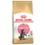 Royal Canin Maine Coon Kitten dry food, specially for Maine Coon kittens. Packaging shows a cat and highlights tailored nutrition.