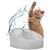 Fuente de agua blanca para gatos con chorro visible, junto a un gato de pelo corto color beige levantando una pata. Fondo blanco con salpicadura de agua decorativa.