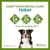 Start their dental care today. Chew once daily, cleans two times better, lasts three times longer than the leading treat. Dog holding dental chew. Whimzees Wellness.
