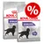2 sacos de Royal Canin Sterilised Maxi para perros, texto visible: Maintains Ideal Weight, -14% calories, imagen de perro grande y símbolo de porcentaje en círculo rojo. 2 sacos de Royal Canin Sterilised Maxi para perros, texto visible: Maintains Ideal Weight, -14% calories, imagen de perro grande y símbolo de porcentaje en círculo rojo.