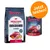 Rocco Mealtime Classic Hundefutter, 12kg Trockenfutter und 800g Nassfutter. Getreidefrei, 100% frische Zutaten, reich an Rindfleisch. Jetzt testen! Rocco Mealtime Classic Hundefutter, 12kg Trockenfutter und 800g Nassfutter. Getreidefrei, 100% frische Zutaten, reich an Rindfleisch. Jetzt testen!
