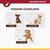 NaturVet Cranberry Relief