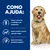 Texto: Como ajuda: Ajuda a conservar a cartilagem das articulações, ajuda a manter a massa muscular magra, apoia um sistema imunitário saudável. Imagens de ícones e cão sentado.