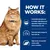 HOW IT WORKS: Controlled phosphorus & sodium with Enhanced Appetite Trigger (E.A.T.) Technology for cats. Enriched with omega-3s from fish oil. High levels of essential amino acids and L-carnitine.