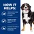 HOW IT HELPS: Nutrition proven to help dogs lose weight in 2 months. Supports your dog’s ability to run, walk and jump. Helps keep lost weight off and provides energy for active play.