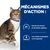 Mécanismes d’action : favorise des niveaux de pH urinaire optimaux (pH 5,9–6,1), taux réduits de phosphore et de magnésium. Chat tigré avec collier bleu visible à gauche.