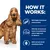 How it works: with highly hydrolysed animal protein, fish oil, increased essential fatty acids and vitamin E, and a proven blend of prebiotic fibres.