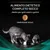 ALIMENTO DIETETICO COMPLETO SECCO. Adatto per gatti adulti e gattini. Dimensione reale di una crocchetta mostrata sopra due gatti che mangiano da ciotole.
