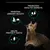 Text: Maintain urinary health, promotes healthy kidneys, helps protect teeth. Cat beside three icons showing a cat with scales, kidneys, and a tooth with an arrow.