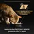 Text: Science based nutrition developed with Purina veterinarians. Switch to the PRO PLAN SENIOR products after 7+ years. Katt äter ur matskål med texten Purina Pro Plan.