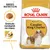 ROYAL CANIN ADULT Cavalier King Charles, granula vyrobená na mieru, zdravé srdce. Balenie krmiva s obrázkom psa a detailom granule.