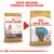 Comparação de embalagens Royal Canin Cocker para cachorro: à esquerda 'Junior', à direita 'Puppy'. Texto visível: 'Nova imagem, fórmula melhorada'. Comparação de embalagens Royal Canin Cocker para cachorro: à esquerda 'Junior', à direita 'Puppy'. Texto visível: 'Nova imagem, fórmula melhorada'.