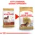 Royal Canin Dachshund Adult
