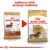 Imagine cu două pungi de hrană uscată Royal Canin Dachshund Adult, vechiul și noul ambalaj. Text sus: „Ambalaj nou, aceeași formulă”.