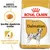 Royal Canin Adult Dalmatian hondenvoer, specifiek afgestemde brokken, gezondheid van de urinewegen, BREED NUTRITION zichtbaar op verpakking.