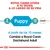 Royal Canin ayuda a tu teckel a lo largo de su vida. Puppy: 2 meses–10 meses. A partir de los 10 meses, cambia a Royal Canin Dachshund Adult.