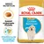 Royal Canin Puppy Golden Retriever. Speziell angepasste Krokette. Unterstützung der körpereigenen Abwehrkräfte.
